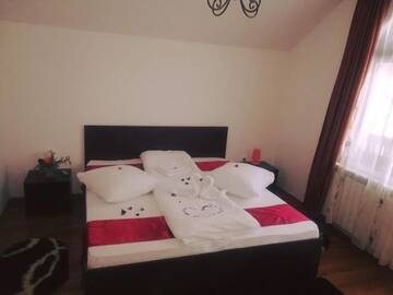 Фото номера Двухместный номер Делюкс с 1 кроватью и душем Гостевой дом Casa Lupascu г. Ватра-Дорней 15