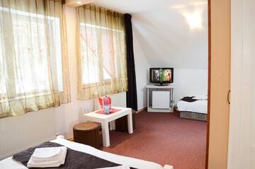 Фото номера Стандартный семейный номер - Мансарда Гостевой дом Pensiunea Happy Inn г. Ватра-Дорней 3