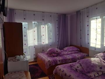 Фото Гостевой дом Casa Emilia г. Ватра-Дорней 4