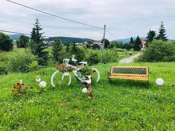 Фото номера Двухместный номер с 1 кроватью Гостевой дом Pensiunea Valurile Bistritei г. Ватра-Дорней 3