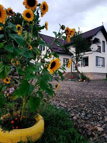 Фото Виллы Casa ABP г. Ватра-Дорней 4