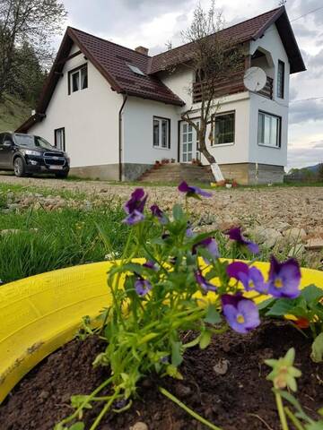 Фото номера Вилла Виллы Casa ABP г. Ватра-Дорней 7