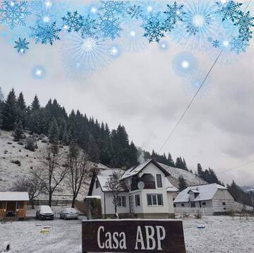 Фото номера Вилла Виллы Casa ABP г. Ватра-Дорней 35